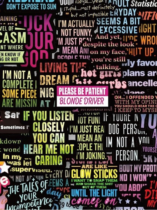 Other - 110Pcs Sarcastic Stickers for Adults